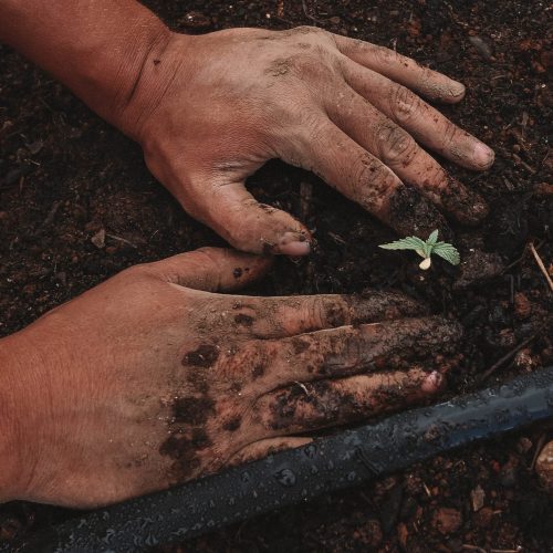 greenforce-staffing-bYZn_C-RswQ-unsplash